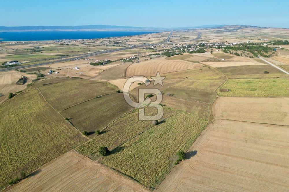 ÇANAKKALE GELİBOLU BOLAYIR DENİZ GÖREN SATILIK 9 DÖNÜM TARLA