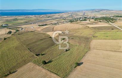 ÇANAKKALE GELİBOLU BOLAYIR DENİZ GÖREN SATILIK 9 DÖNÜM TARLA