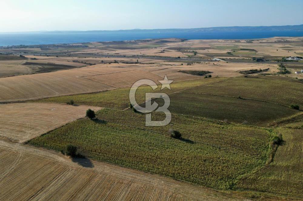 ÇANAKKALE GELİBOLU BOLAYIR DENİZ GÖREN SATILIK 9 DÖNÜM TARLA