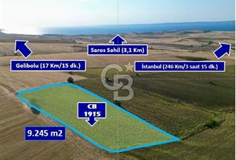 ÇANAKKALE GELİBOLU BOLAYIR DENİZ GÖREN SATILIK 9 DÖNÜM TARLA