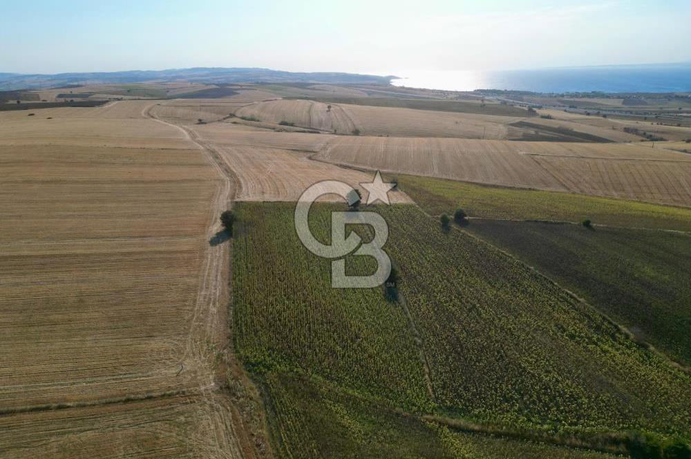ÇANAKKALE GELİBOLU BOLAYIR DENİZ GÖREN SATILIK 9 DÖNÜM TARLA