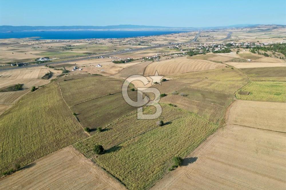 ÇANAKKALE GELİBOLU BOLAYIR DENİZ GÖREN SATILIK 9 DÖNÜM TARLA