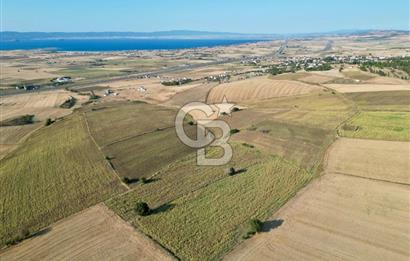 ÇANAKKALE GELİBOLU BOLAYIR DENİZ GÖREN SATILIK 9 DÖNÜM TARLA