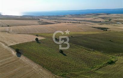 ÇANAKKALE GELİBOLU BOLAYIR DENİZ GÖREN SATILIK 9 DÖNÜM TARLA