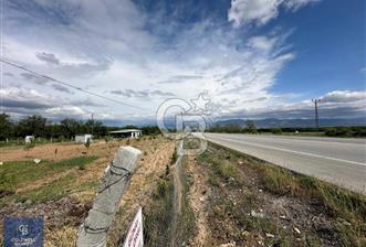 CB SAFİR'den MALATYA-KAYSERİ YOLUNA SIFIR 4000 m2 SATILIK TARLA