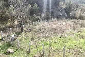 Ferit KUTLUAY'dan GEYVE ÇAMLIK MAH DE 933 M2 İMARLI ARSA