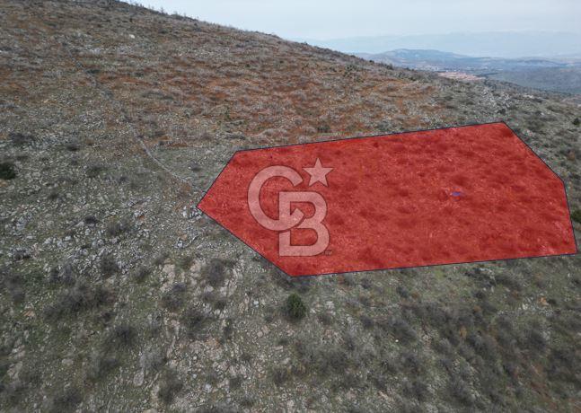 CB'DEN UZUNSÖĞÜT'TE MÜSTAKİL TAPULU SATILIK FISTIK BAHÇESİ