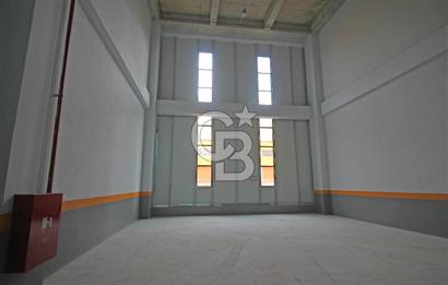 Esenyurt 566 m² H:12 Düz Giriş Kiralık Depo