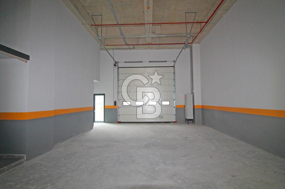 Esenyurt 566 m² H:12 Düz Giriş Kiralık Depo