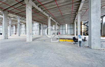 Tekirdağ Kapaklı'da 4.000m² Düz Giriş H:12mt Kiralık Depo