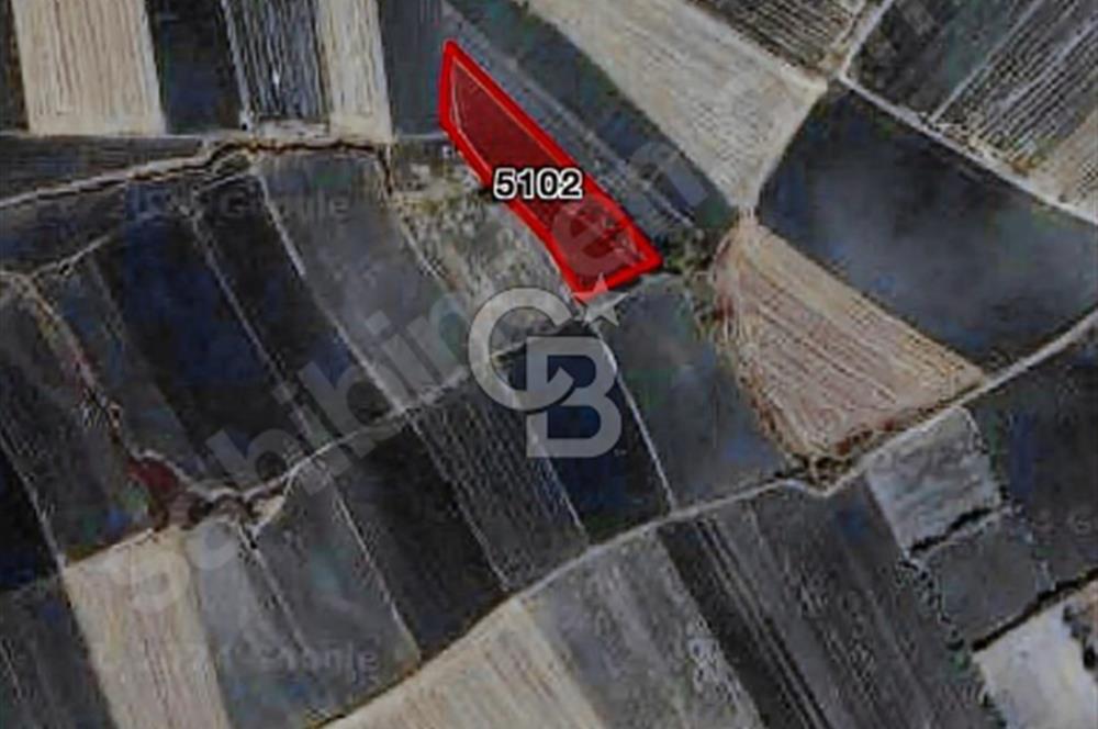 EDİRNE UZUNKÖPRÜ'DE SATILIK 7.400 M2 SATILIK ARAZİ