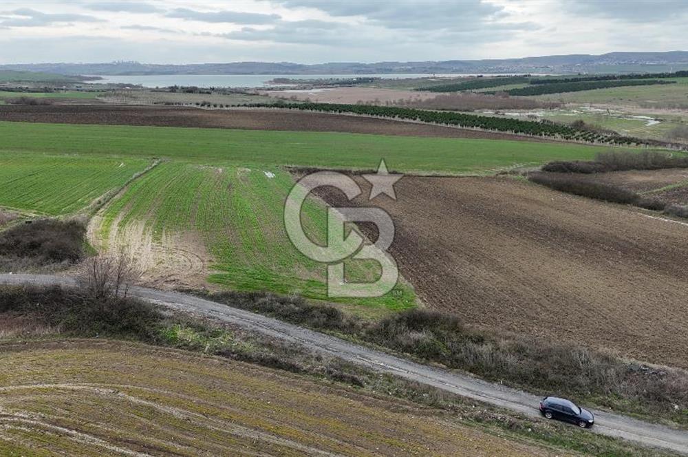 BÜYÜKÇEKMECE KARAAĞAÇ'TA 5.500 M² MÜSTAKİL TAPU TARLA