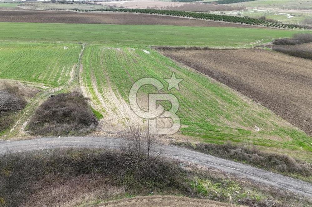 BÜYÜKÇEKMECE KARAAĞAÇ'TA 5.500 M² MÜSTAKİL TAPU TARLA