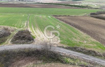 BÜYÜKÇEKMECE KARAAĞAÇ'TA 5.500 M² MÜSTAKİL TAPU TARLA