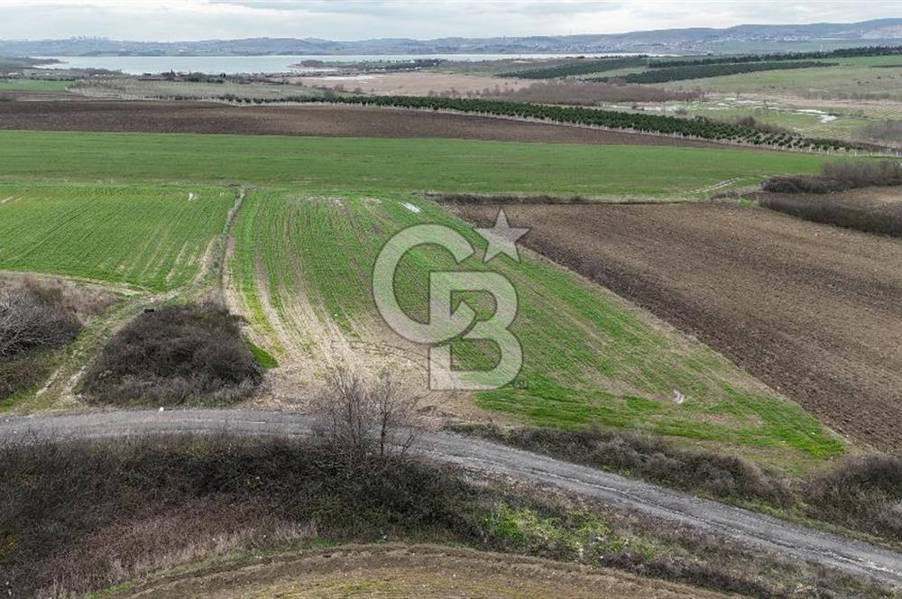 BÜYÜKÇEKMECE KARAAĞAÇ'TA 5.500 M² MÜSTAKİL TAPU TARLA