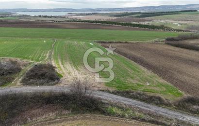 BÜYÜKÇEKMECE KARAAĞAÇ'TA 5.500 M² MÜSTAKİL TAPU TARLA
