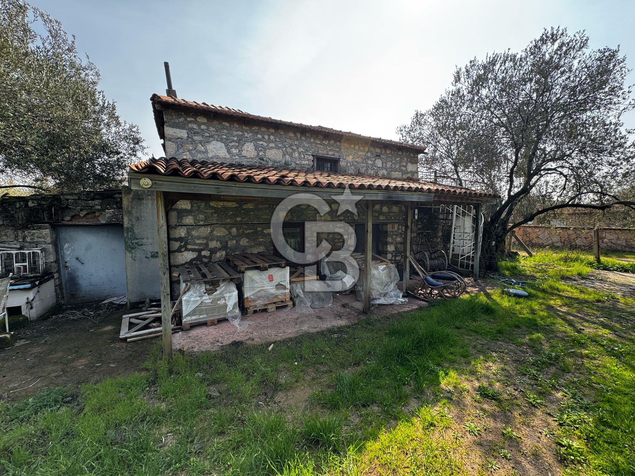 AYVALIKTA SATILIK 7.582 m² ZEYTİNLİK & ÇİFTLİK