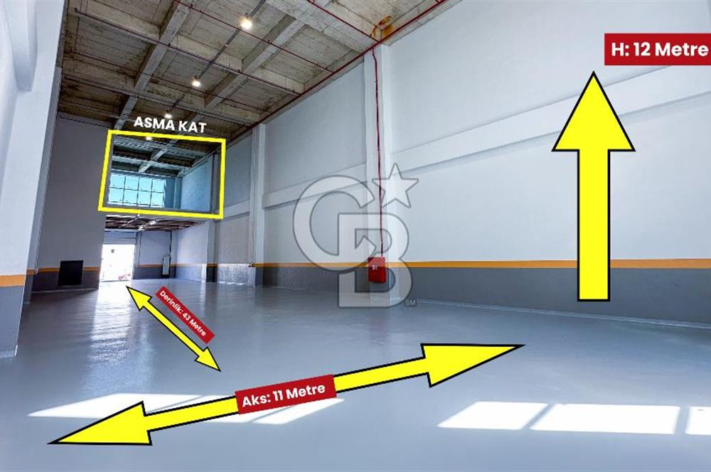 Esenyurt 568 m² H:12 Düz Giriş Kiralık Depo