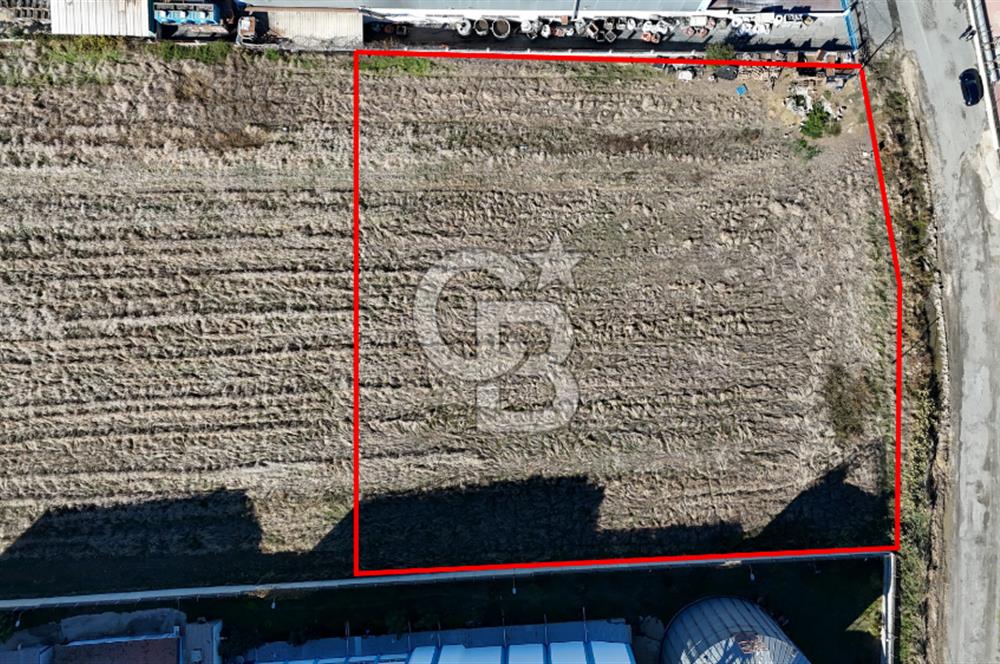 SİLİVRİ KAVAKLI'DA 4.473M² SANAYİ İMARLI ARSA 