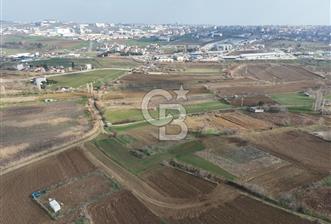 Tekirdağ Sülaymanpaşa nusratlı mh 7350 m2 tarla satılık