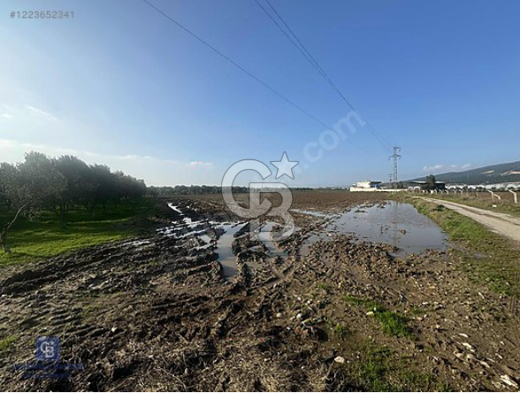 TORBALI ARSLANLAR'DA 14.600M2 TARLA