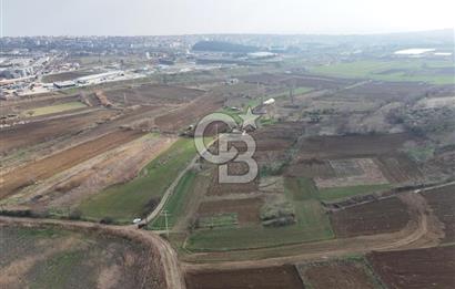 Tekirdağ Sülaymanpaşa da 504 m2 villa imarlı