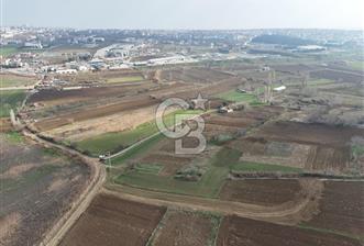 Tekirdağ Sülaymanpaşa da 481 m villa imarlı