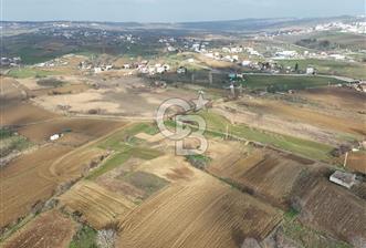 Tekirdağ Sülaymanpaşa da 504 m2 villa imarlı