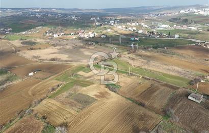 Tekirdağ Sülaymanpaşa da 504 m2 villa imarlı