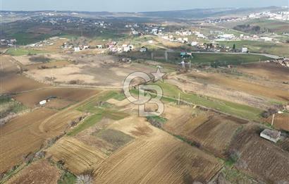 Tekirdağ Sülaymanpaşa da 481 m villa imarlı