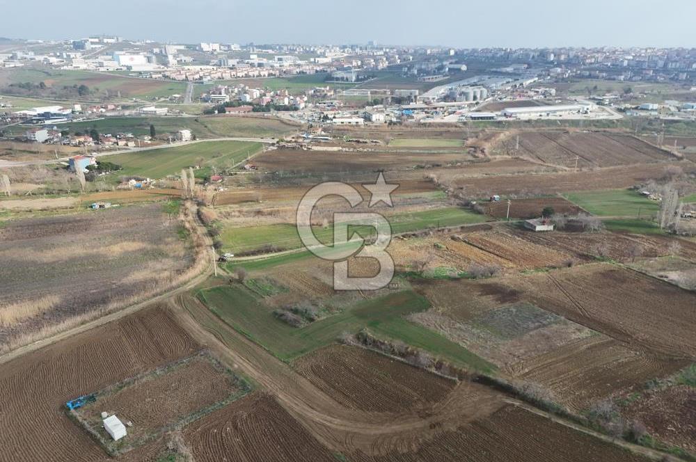 Tekirdağ Sülaymanpaşa da 504 m2 villa imarlı