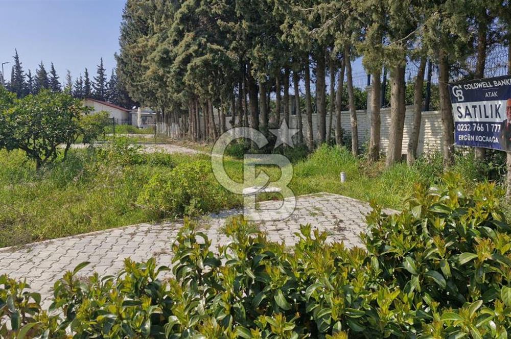 Seferihisar Köyüm Sığacık'ta Satılık Tiny House Parseli