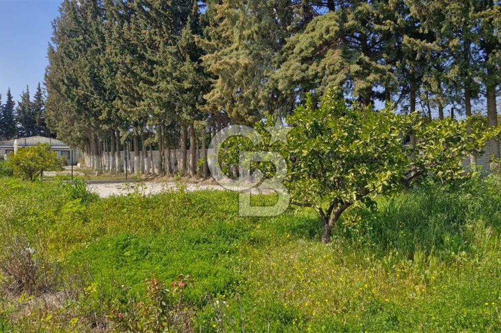 Seferihisar Köyüm Sığacık'ta Satılık Tiny House Parseli