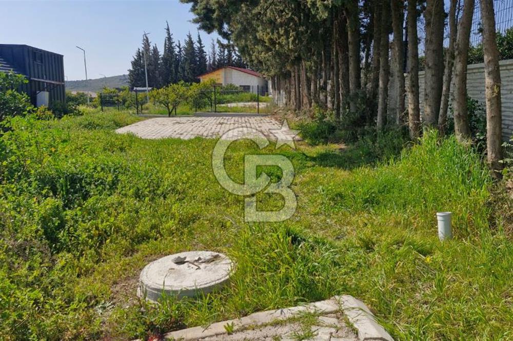 Seferihisar Köyüm Sığacık'ta Satılık Tiny House Parseli