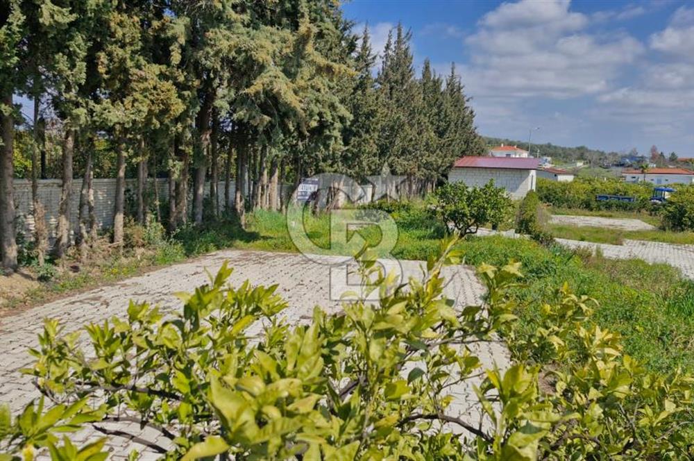 Seferihisar Köyüm Sığacık'ta Satılık Tiny House Parseli