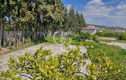 Seferihisar Köyüm Sığacık'ta Satılık Tiny House Parseli