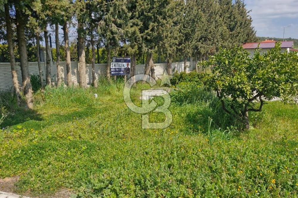 Seferihisar Köyüm Sığacık'ta Satılık Tiny House Parseli