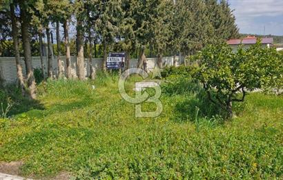 Seferihisar Köyüm Sığacık'ta Satılık Tiny House Parseli