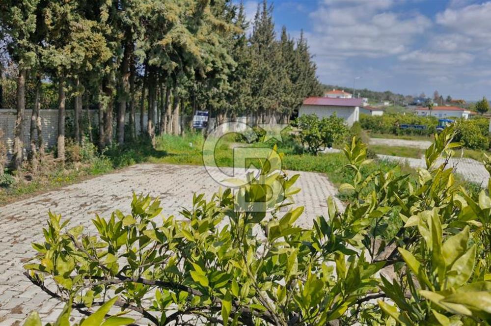 Seferihisar Köyüm Sığacık'ta Satılık Tiny House Parseli
