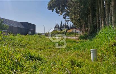 Seferihisar Köyüm Sığacık'ta Satılık Tiny House Parseli