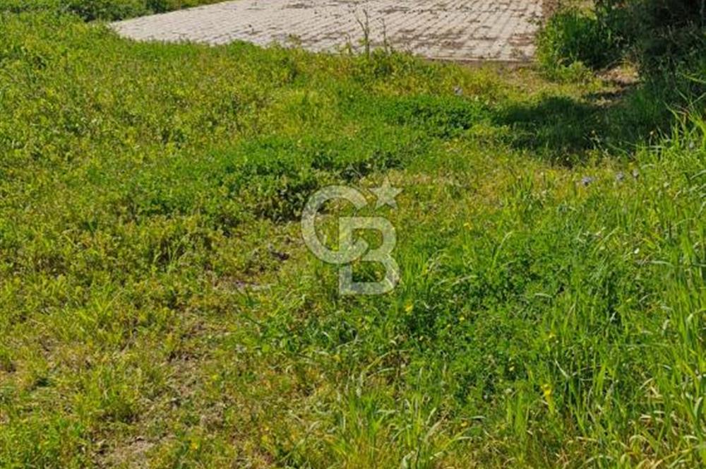 Seferihisar Köyüm Sığacık'ta Satılık Tiny House Parseli