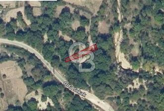 CB ONE SATILIK 268 M2 İMAR BEKLEYEN BAHÇE