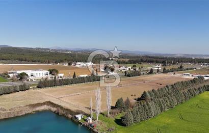 TORBALI ANAYOLA 600M CEPHELİ SATILIK AT ÇİFLİĞİ