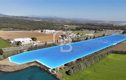 TORBALI ANAYOLA 600M CEPHELİ SATILIK AT ÇİFLİĞİ