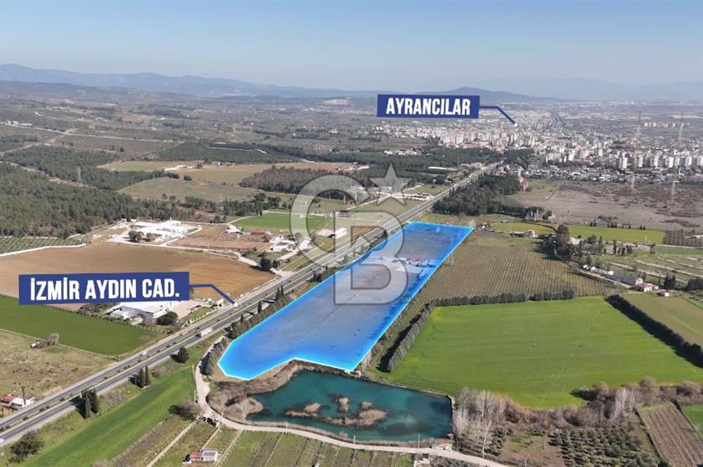 TORBALI ANAYOLA 600M CEPHELİ SATILIK AT ÇİFLİĞİ