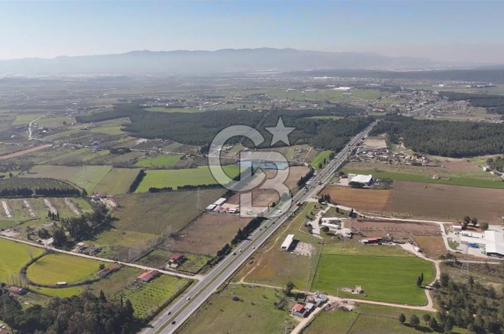 TORBALI ANAYOLA 600M CEPHELİ SATILIK AT ÇİFLİĞİ