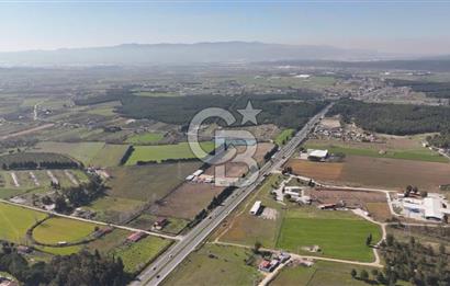 TORBALI ANAYOLA 600M CEPHELİ SATILIK AT ÇİFLİĞİ