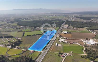 TORBALI ANAYOLA 600M CEPHELİ SATILIK AT ÇİFLİĞİ