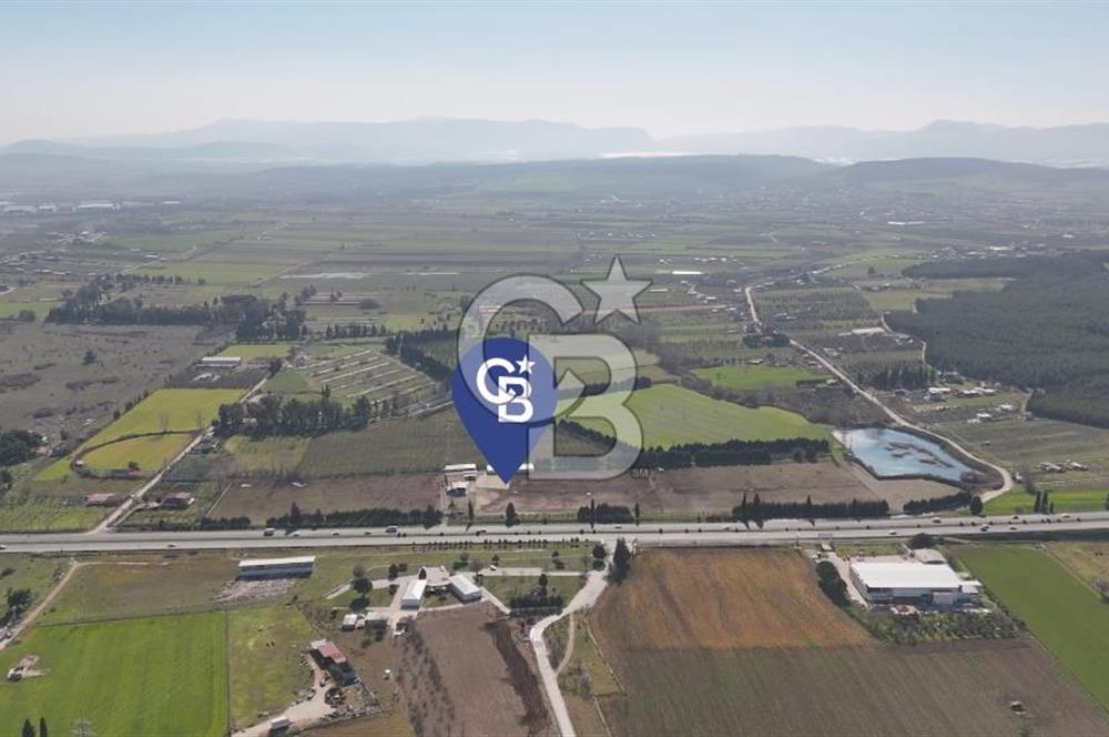 TORBALI ANAYOLA 600M CEPHELİ SATILIK AT ÇİFLİĞİ