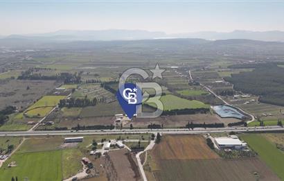 TORBALI ANAYOLA 600M CEPHELİ SATILIK AT ÇİFLİĞİ